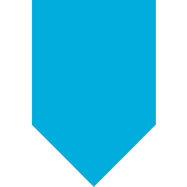Arcserve logo