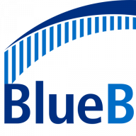BlueBridge Networks logo