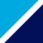Bluefin Payment Systems logo