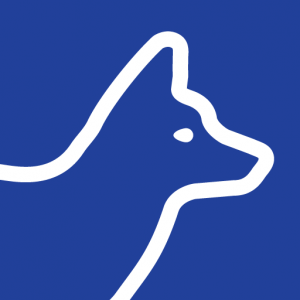 BlueFox logo