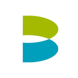 Brierley+Partners logo
