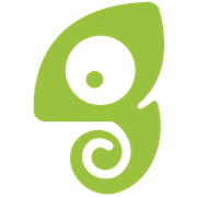 Chameleon Intelligent Tech, Inc. logo