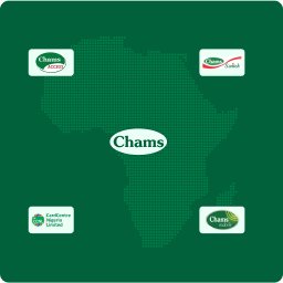 CHAMS SWITCH logo