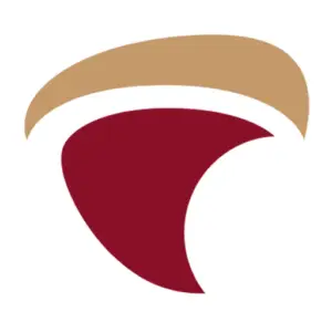 Fintech Payment logo