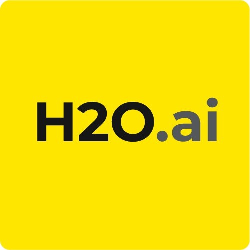 H2O.AI for Government logo