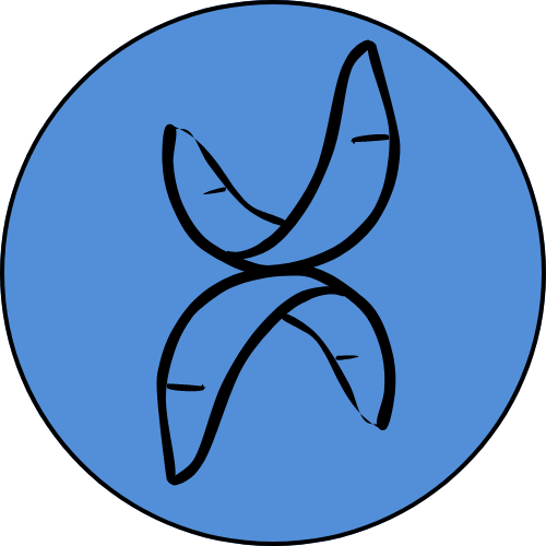 KITE XPERIENCE logo