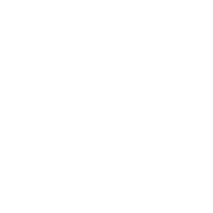 Lares logo