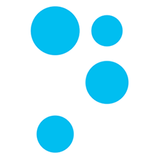 Nets Estonia AS logo