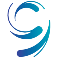 Ninth Wave logo