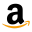 PAYFORT INTERNATIONAL FZ-LLC logo
