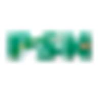Payment Service Network logo