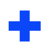 PayPlus logo