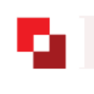 Paradigm Services logo