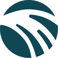Realizeit logo