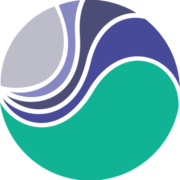 Advanced Personnel Systems logo