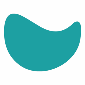 Teem logo