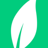 Virid logo