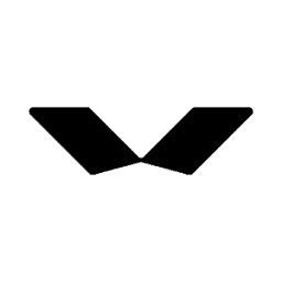 VSN logo