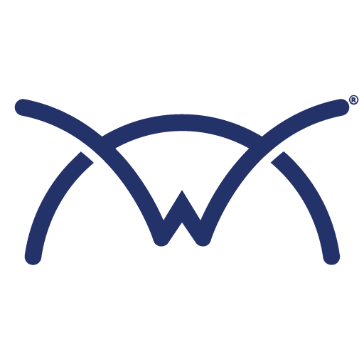 Wise-Sync logo